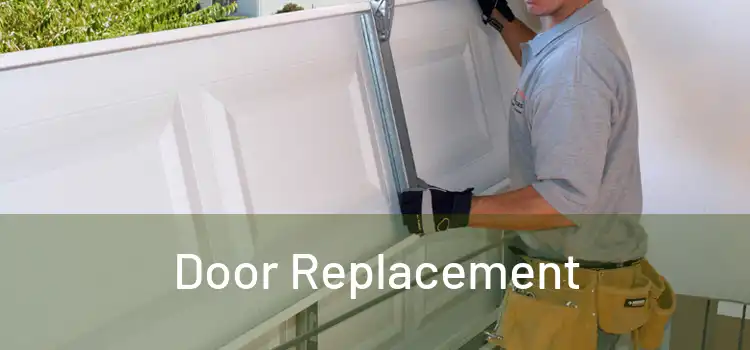  Door Replacement 
